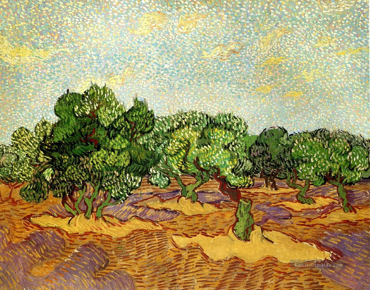Olive Grove Pale Blue Sky Vincent van Gogh Ölgemälde